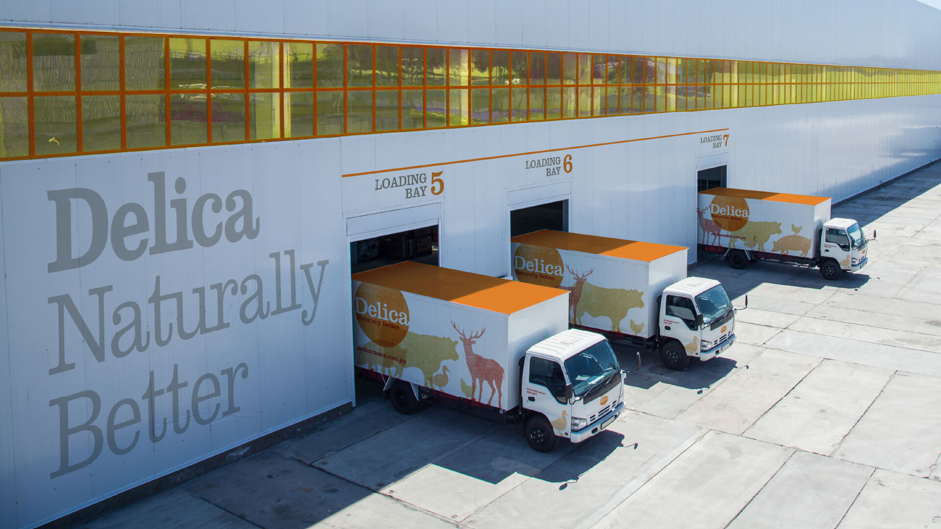Image featuring Delica Meats delivery vehicles. 3 Delica Meats trucks awaiting deliveries outside their factory, as photographed from above.
Helium Design have created a brand identity system for Delica Meats.
