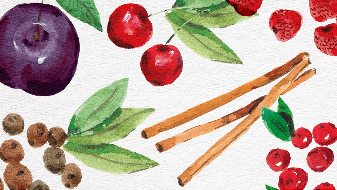 Painted illustrations of fruit and spices, created using watercolour paints.